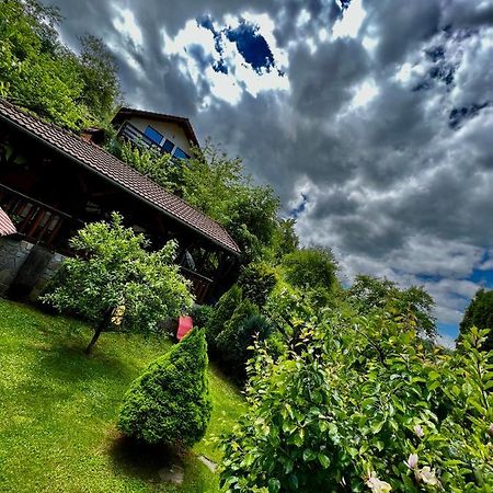 Cabana Vanatorilor Пояна-Марулуй Екстер'єр фото