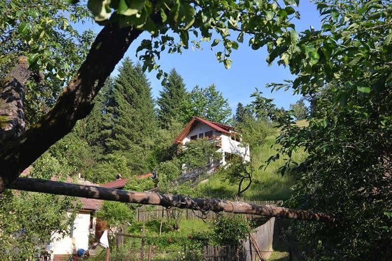 Cabana Vanatorilor Пояна-Марулуй Екстер'єр фото