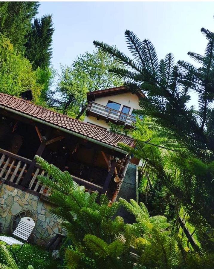 Cabana Vanatorilor Пояна-Марулуй Екстер'єр фото